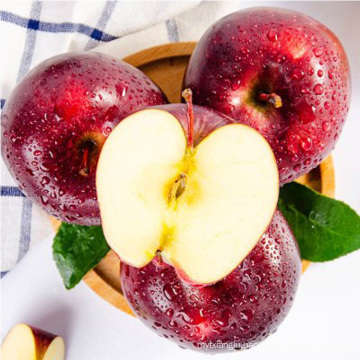 Juicy apple fruit export Gansu Origin Fresh Fruit Red Delicious Huaniu Apple